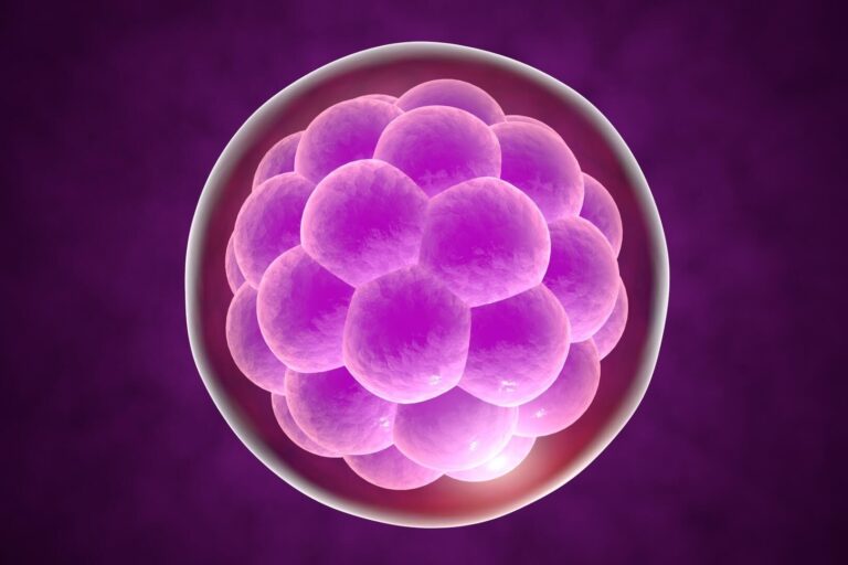 Какие могут быть симптомы после переноса эмбрионов